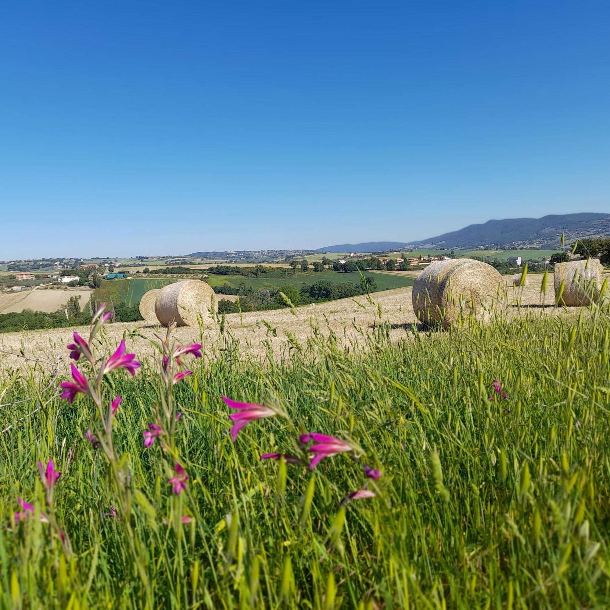 Tenuta San Felice Giano dellʼUmbria エクステリア 写真