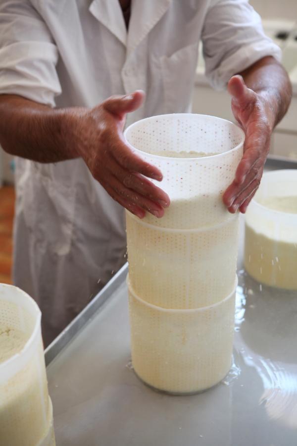 Tenuta San Felice Giano dellʼUmbria エクステリア 写真