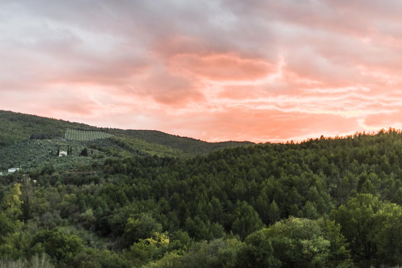 Tenuta San Felice Giano dellʼUmbria エクステリア 写真