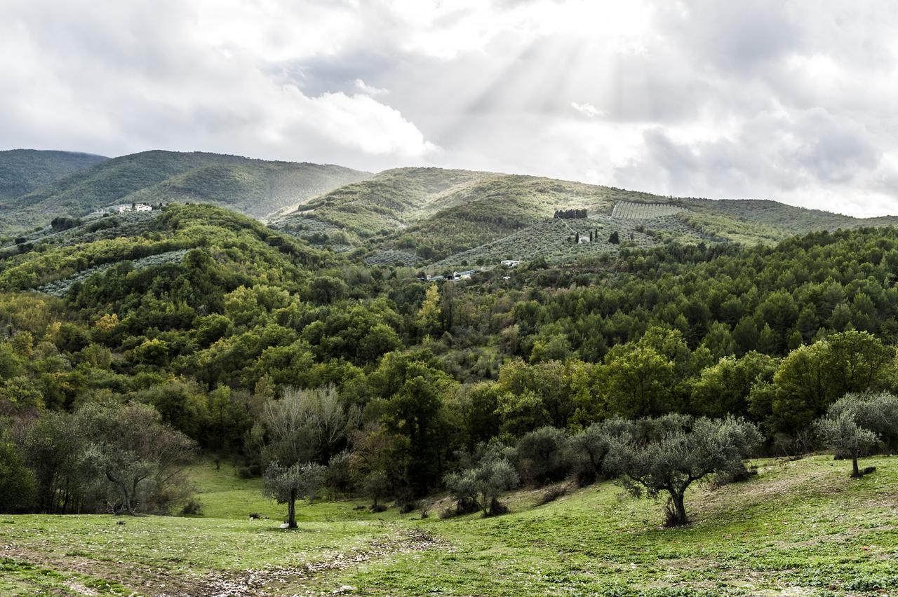 Tenuta San Felice Giano dellʼUmbria エクステリア 写真